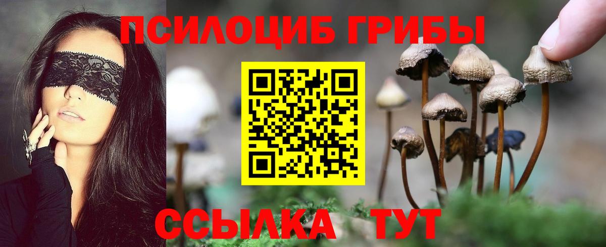 Галлюциногенные грибы ЛСД Мценск
